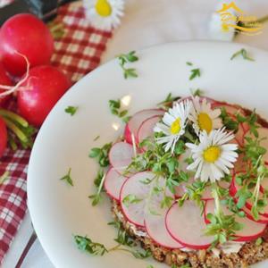 5 Makanan yang Harus Dikonsumsi Saat Puasa Ramadhan